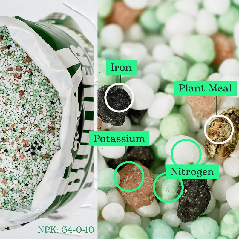 Scotts Turf Builder Southern Lawn Food image number 3.0