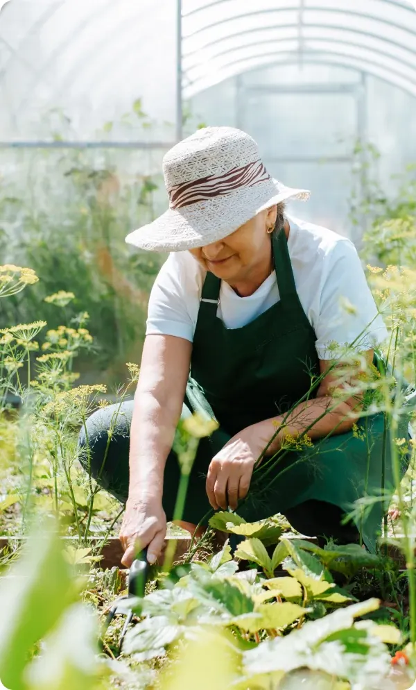 older woman kneeling down to dig in a raised bed garden wearing a wide brimmed gardening hat