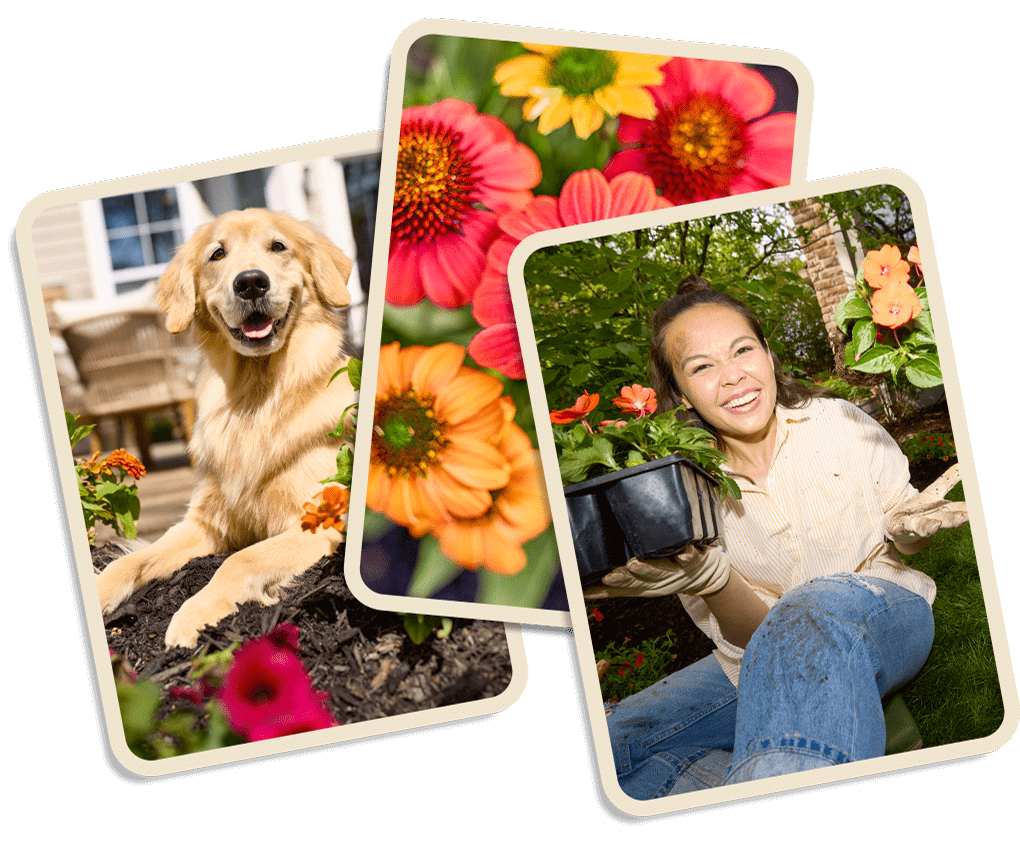 photos of different users