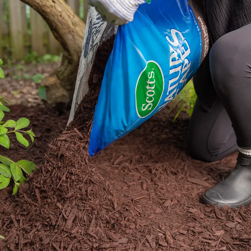 Nature Scapes&reg; Colour Enhanced Mulch - Deep Forest Brown image number 3.0