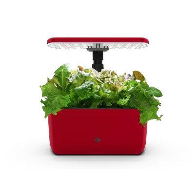 AeroGarden Harvest Lite, Cherry Red