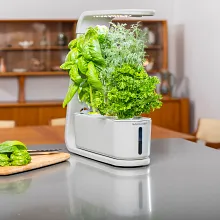 AeroGarden Sprout with Gourmet Herb Seed Pod Kit, Cool Gray image number null