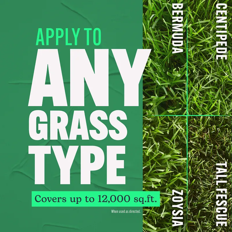 Scotts Turf Builder Lawn Food, 37.9 lbs. image number 5.0