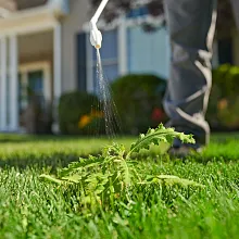 Ortho&reg; Killex&reg; Lawn Weed Control - Ready-To-Use image number null