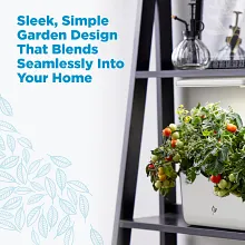 Harvest Lite image number null