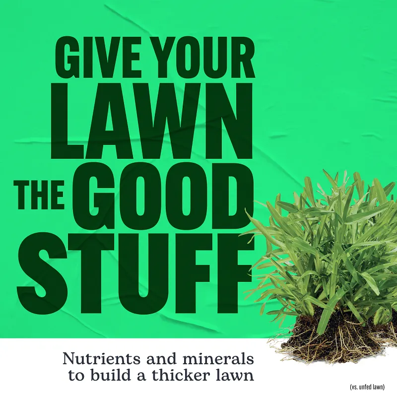 Scotts Turf Builder Southern Lawn Food image number 4.0