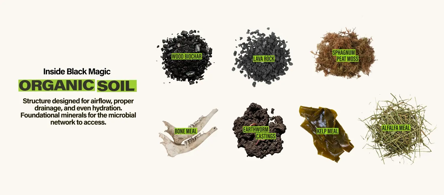 Inside Black Magic Organic Soil - Structure designed for airflow, proper drainage, and even hydration. Foundational minerals for the microbial network to access. Raw ingredients include: wood biochar, lava rock, sphagnum peat moss, bone meal, earthworm castings, kelp meal, alfalfa meal.