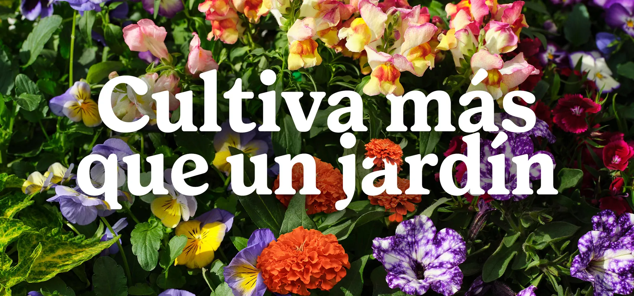 text on flower background that reads "Cultiva m&aacute;s que un jard&iacute;n"