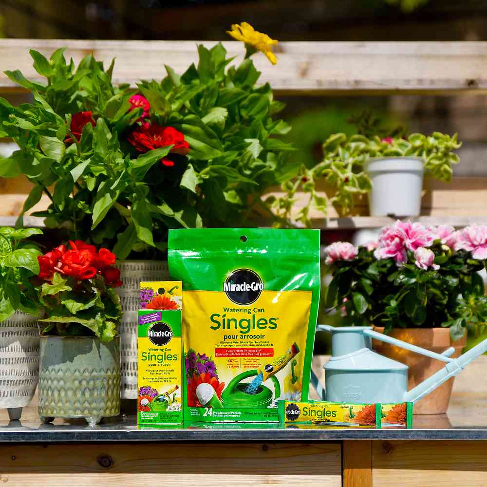 Arrosoir Plantes D'Intérieur The Watering Can Gazzaladra Design - 0,7L Gris PLA Recyclé