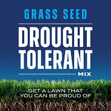 Scotts&reg; Grass Seed Drought Tolerant Mix image number null