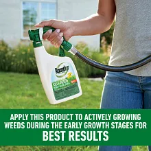Roundup&reg; For Lawns₃ image number null