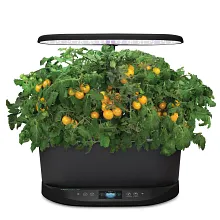 AeroGarden Golden Harvest Cherry Tomato Seed Pod Kit image number null