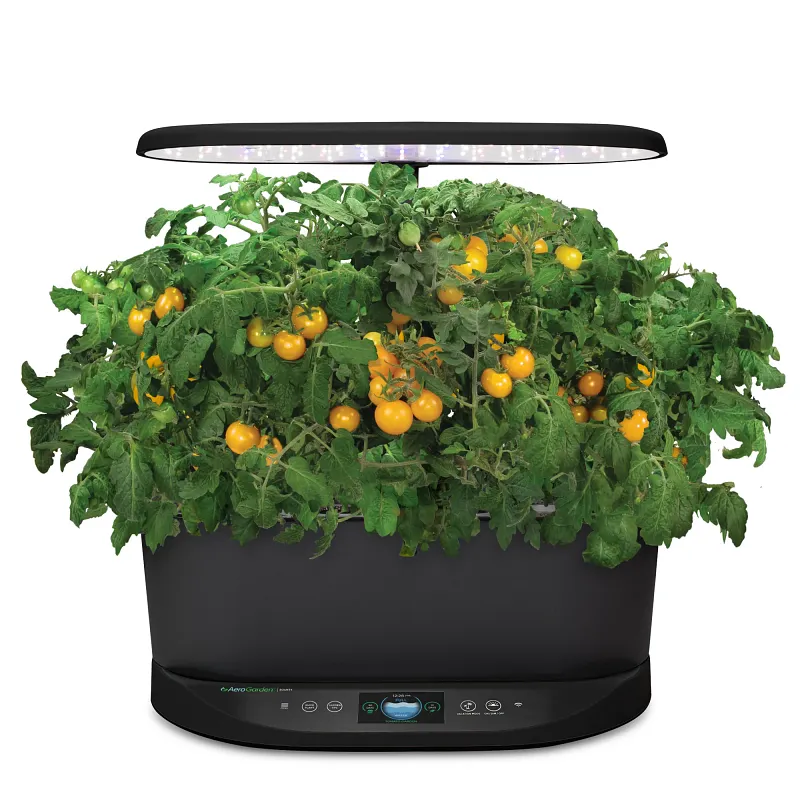 AeroGarden Golden Harvest Cherry Tomato Seed Pod Kit image number 4.0
