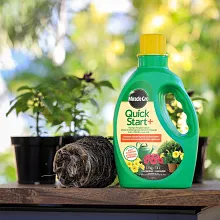 Quick Start&reg;+ Planting & Transplant Solution image number null