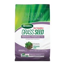Scotts&reg; Turf Builder&reg; Grass Seed Perennial Ryegrass Mix image number null