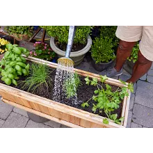 Organics Plant Food Granules for Vegetables & Herbs image number null