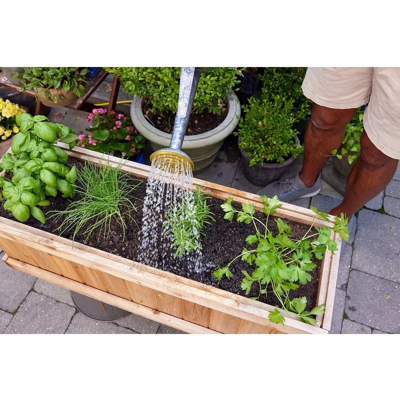 Organics Plant Food Granules for Vegetables & Herbs image number 6.0