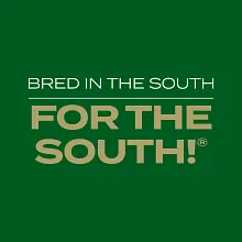 Scotts&reg; Turf Builder Rapid Grass&trade; Southern Gold&reg; Blend for Tall Fescue Lawns image number null