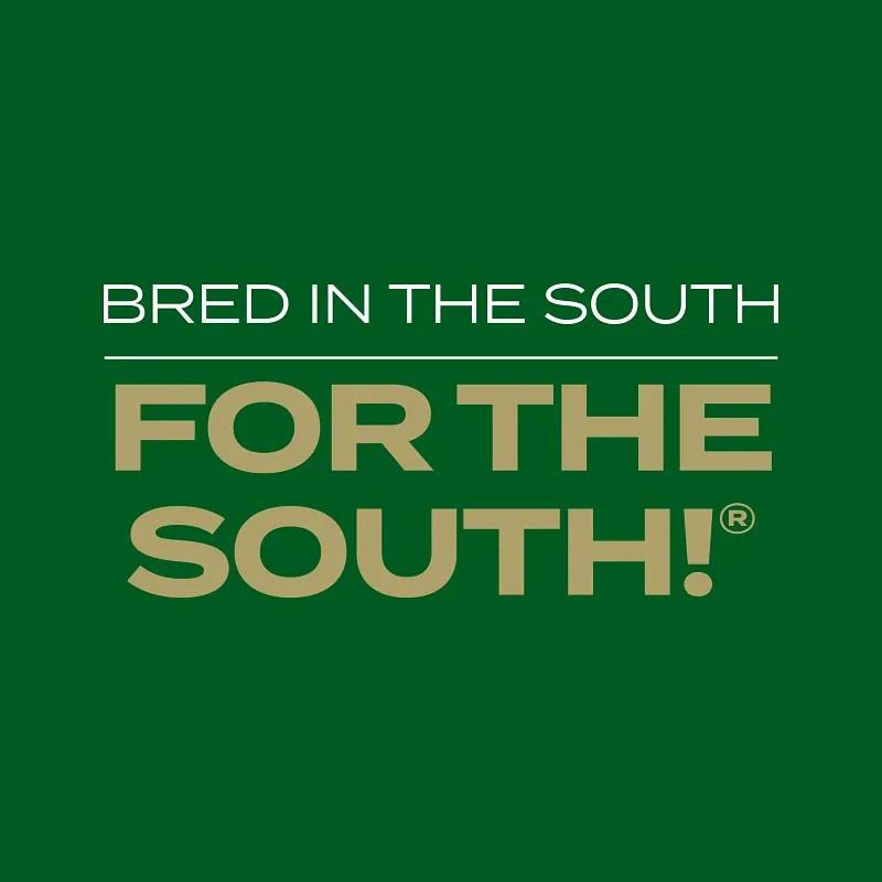 Scotts&reg; Turf Builder Rapid Grass&trade; Southern Gold&reg; Blend for Tall Fescue Lawns image number 10.0