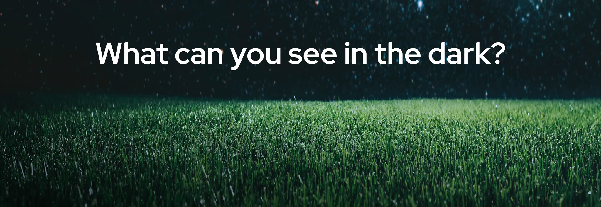 Headline text reading "What can you see in the dark?" centered over a close-up background view of green grass illuminated at night under a starry sky.