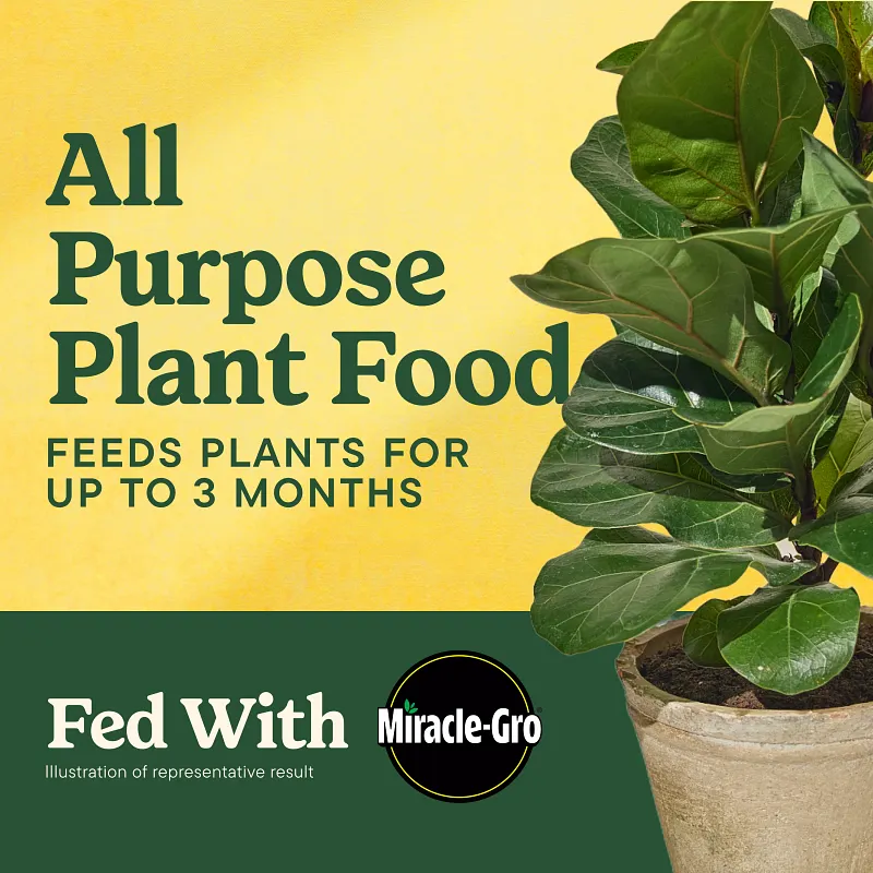 Miracle-Gro&reg; Shake 'N Feed All Purpose Plant Food image number 2.0