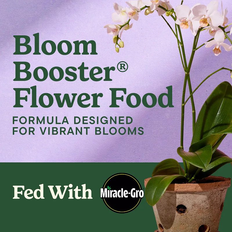 Miracle-Gro&reg; Liquafeed Bloom Booster Flower Food image number 2.0