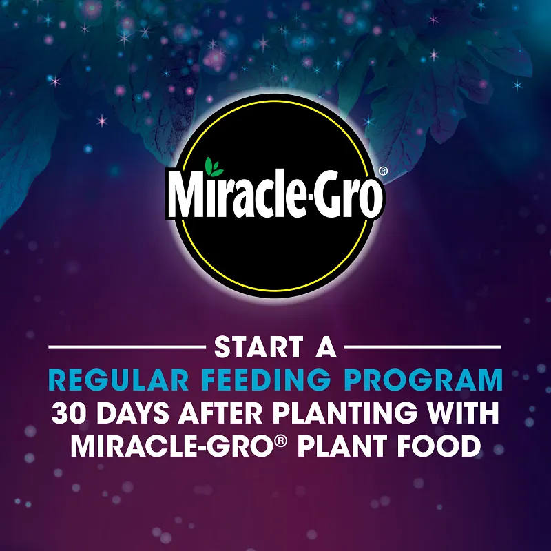Miracle-Gro&reg; Rescue&trade; Outdoor Plant Potion&trade; image number 10.0