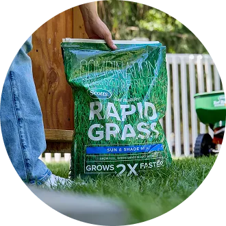 Grass Seed