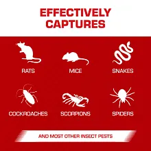 Tomcat&reg; Glue Traps Rat Size with Eugenol for Enhanced Stickiness Image 4