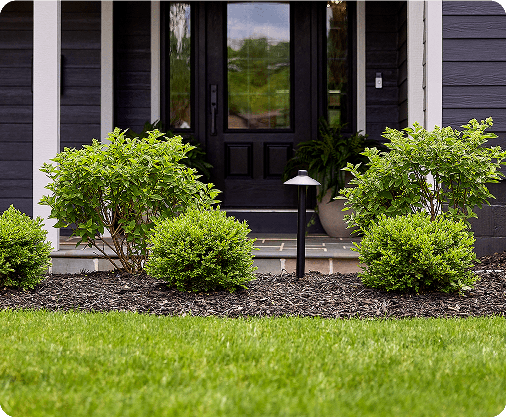 landscaping in front of door