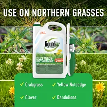 Roundup For Lawns₁ Ready-To-Use with Extend Wand image number null
