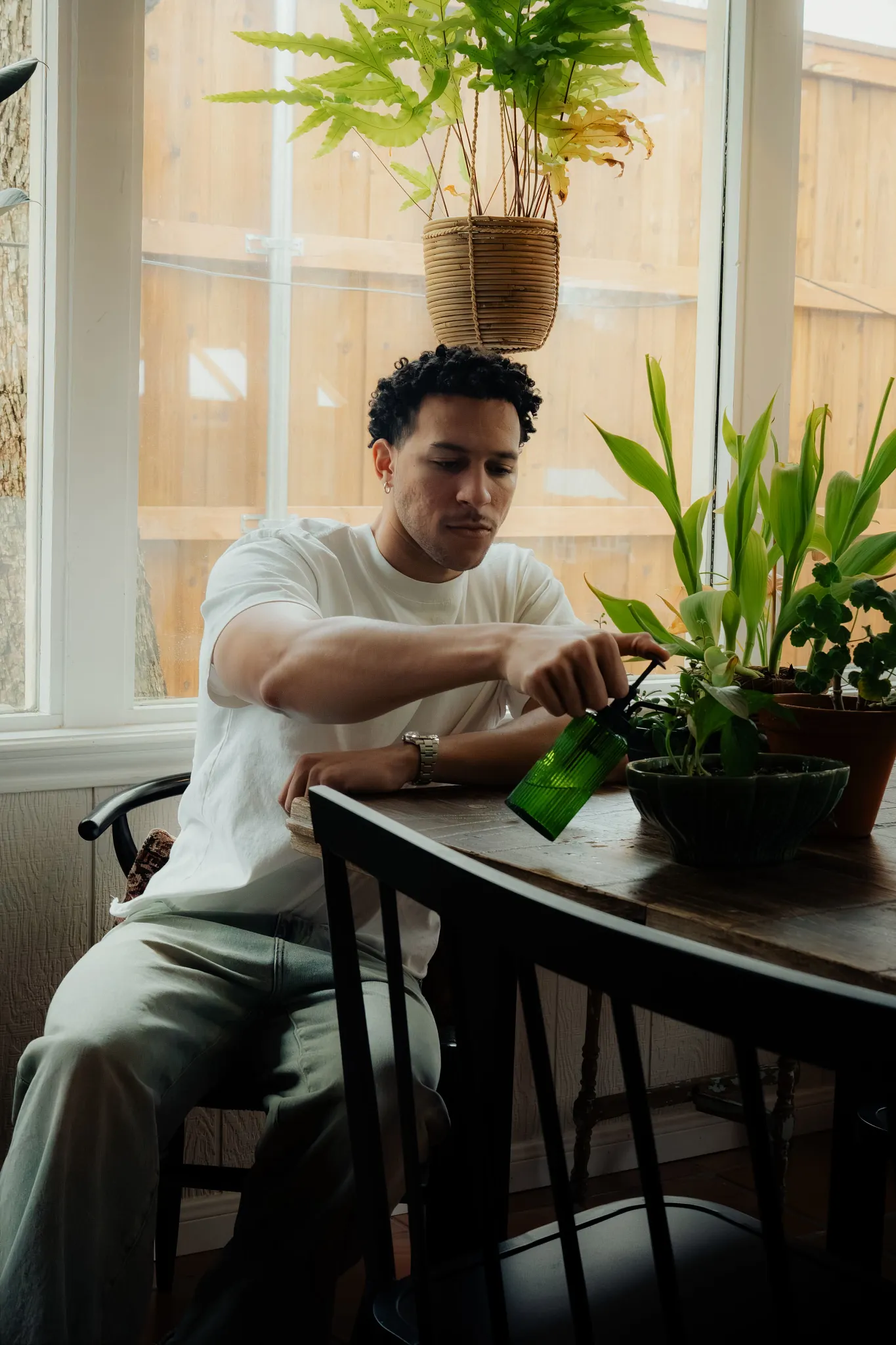 man sitting with plants in front of window