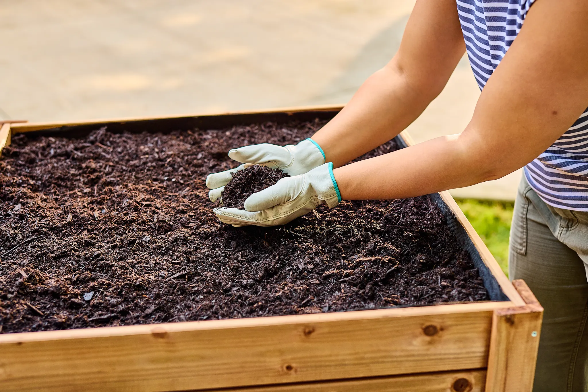more hands holding organic soil
