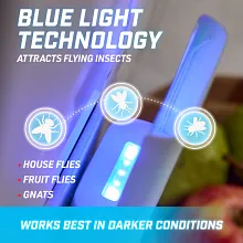 Ortho Home Defense Max Indoor Flying Insect Trap image number null