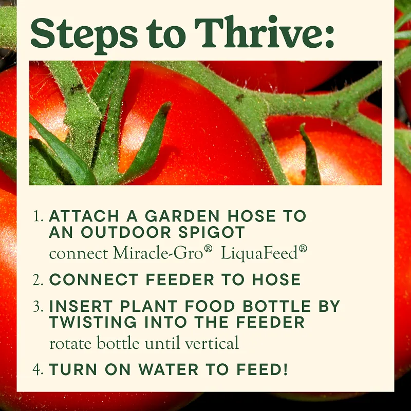 Miracle-Gro&reg; LiquaFeed Tomato, Fruits & Vegetables Plant Food image number 5.0