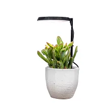 AeroGarden Stem Grow Light image number null