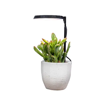 AeroGarden Stem Grow Light