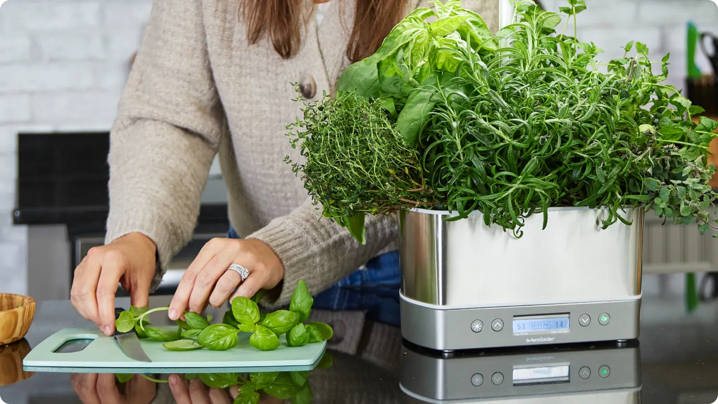 A woman harvesting and chopping basil on a small cutting board next to her AeroGarden with lots of fresh herbs growing