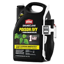 Ortho&reg; GroundClear&reg; Poison Ivy & Tough Brush Killer₃ image number null