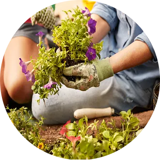 Outdoor Gardening