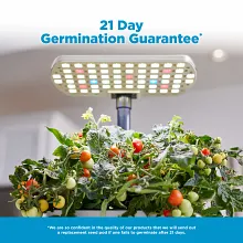 Harvest Lite image number null