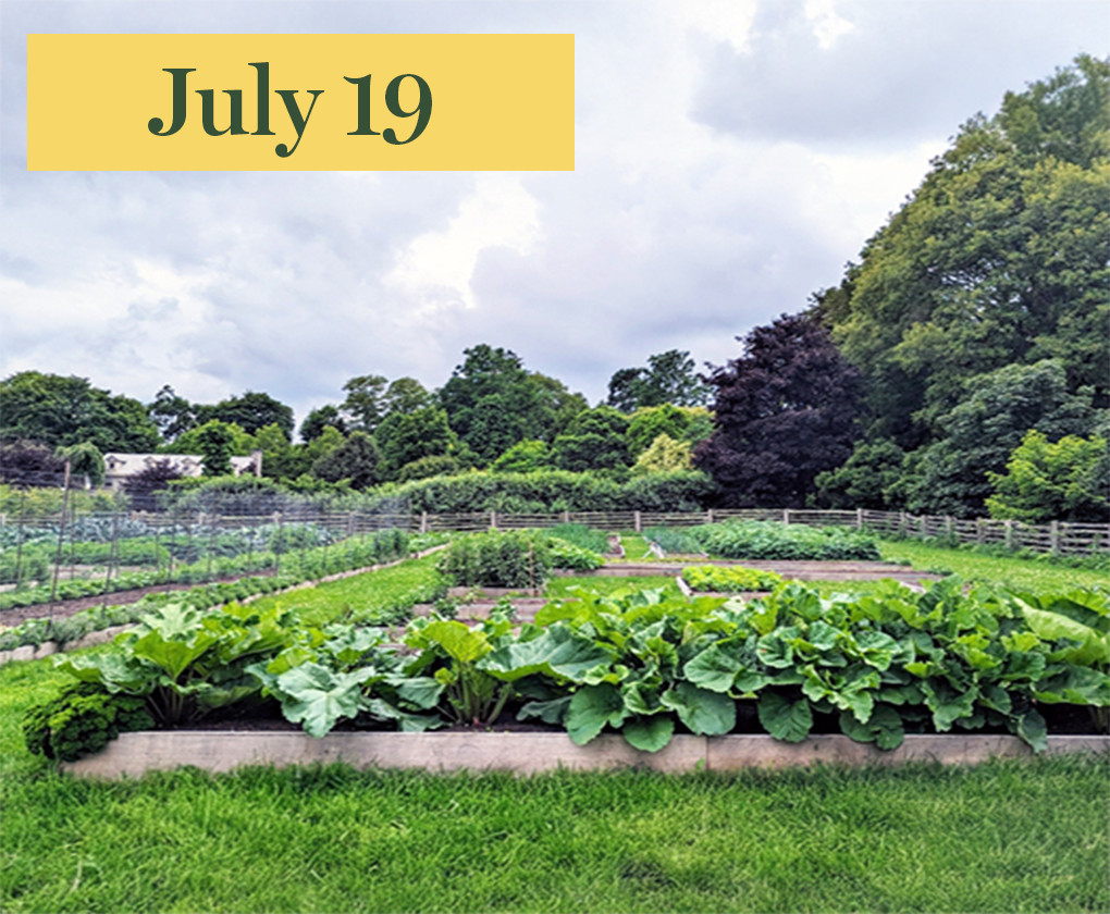 dated card with raised bed