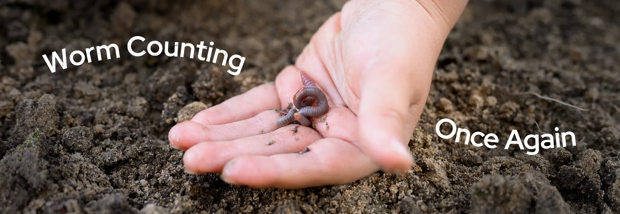 worms text with hands