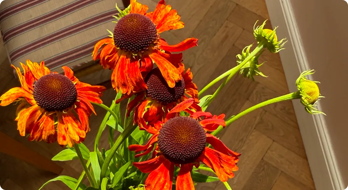 Red cone-shaped flowers with green stems resting on a wooden surface beside bulleted text titled 'Now, select what to snip' detailing flower trimming principles.