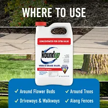 Roundup Weed & Grass Killer₄ Concentrate image number null