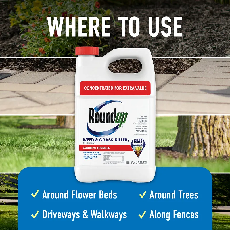 Roundup Weed & Grass Killer₄ Concentrate image number 3.0