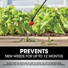 Roundup&reg; Dual Action 365 Weed & Grass Killer Plus 12 Month Preventer Concentrate image number null
