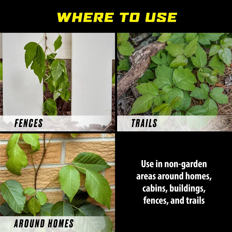 Ortho GroundClear Poison Ivy and Tough Brush Killer₂ Concentrate image number 6.0