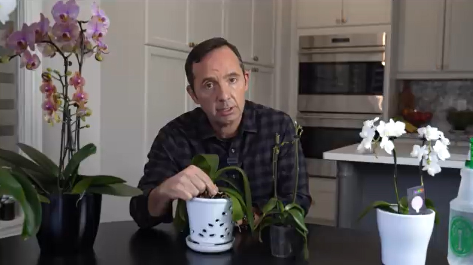 Frankie Flowers explique les orchid&eacute;es