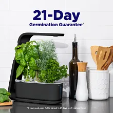 AeroGarden Sprout with Gourmet Herb Seed Pod Kit image number null